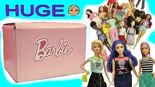 Biggest Haul Giant Box of Barbie Tall Petite Curvy Fashionistas [upl. by Micheline]