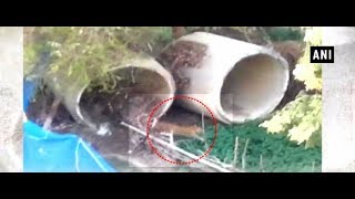 Latest News II Leopard enters residential colony in Lucknow [upl. by Esdnil]