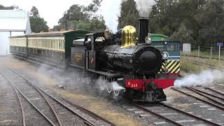 G Class No233 quotLeschenault Ladyquot in Steam [upl. by Hime428]