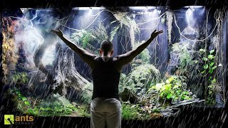 Changing the Weather In My Giant Rainforest Vivarium [upl. by Edgell752]