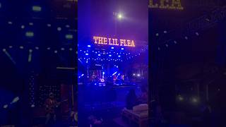 The Lil Flea Mumbai thelilflea mumbai mumbaikar mumbaifestivals [upl. by Weissmann435]