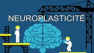 La neuroplasticité expliquée simplement en 2 minutes [upl. by Danyluk]