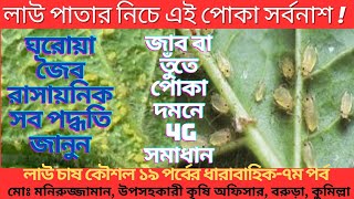 যে ভুলে দমন হয়না জাব পোকা । Get Rid Of Aphid । Organic Insecticide। Foolproof Control And Prevention [upl. by Ahsienom]