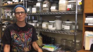 Fundamentals of Medical Herbalism  Colorado School of Clinical Herbalism [upl. by Alyaj]