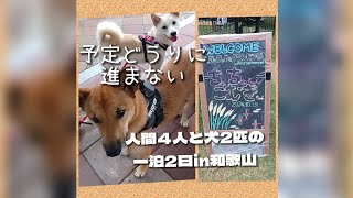 【犬アテレコ、関西弁】一泊2日の和歌山旅行。予定通りにはいきませんでした😭 [upl. by Painter875]