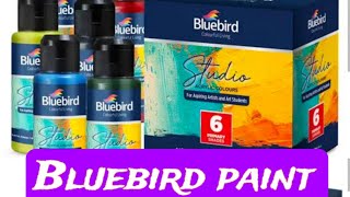 bluebird paint reviewswhich colours are best for all fabric [upl. by Noled]