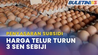 PENYASARAN SUBSIDI  Harga Telur Ayam Gred A B C Turun 3 Sen Sebiji Mulai Hari Ini [upl. by Dias]