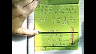 Rock Cycle Foldable [upl. by Niret]