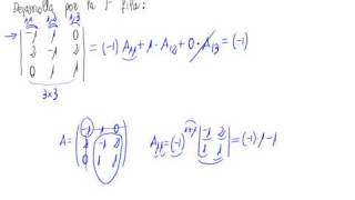 Determinante 3x3 Desarrollo por una fila [upl. by Mendie]