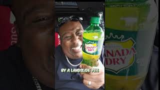 Schweppes vs CanadaDry Who you got [upl. by Yesiad863]