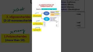 CLASSIFICATION OF CARBOHYDRATES biomolecules shorts neetbiology biochemistry mbbs [upl. by Toolis625]