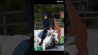 Springen met Smartie compilatie paardenvlog [upl. by Bowler]