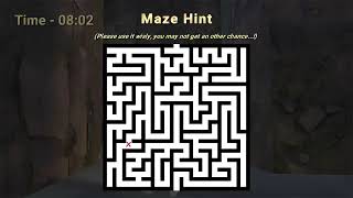 Maze Master Maze Hunt Game [upl. by Onida]