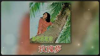 林竹君 Ft The Stylers  玫瑰梦 Original Music Audio [upl. by Maice]