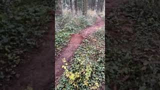 Le meilleur sport le vtt freeride enduro et dh mtb mtbdh mtboffpiste [upl. by Nirac]