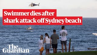 Sydney shark attack search for remains after shark kills swimmer off Little Bay beach [upl. by Celio]