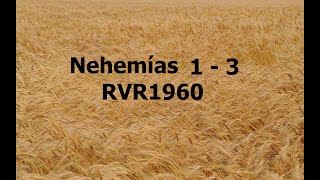 La Biblia hablada Nehemias 1  3 [upl. by Reichert]