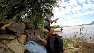 PESCA URBANA Pescando y cocinando en la isla quotPESCA Y COCINAquot Apareció Yarará [upl. by Ellsworth147]