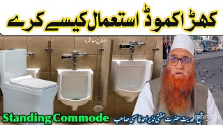 Standing Commode istimal k se kare Sheikh ul Hadees Mufti Nazir Ahmad Qasmi SB [upl. by Ydde636]