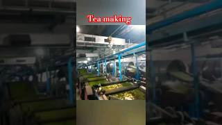 Assam Tea making process [upl. by Aihcila]