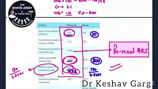 Prerenal Vs Renal Acute Kidney Injury [upl. by Carlick]