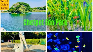 Chetpet Eco Park Vlog  Chennai Chetpet Eco Park  Travel Guide Tamil [upl. by Eylrahc445]