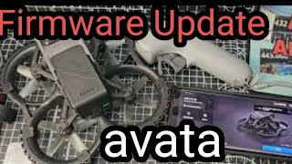 DJI Avata Firmware Update September 2024 [upl. by Ebaj]