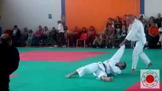 Hontai Yoshin Ryu 1st Kata [upl. by Frentz]