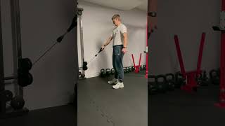 Pronated grip cablelift biceps curl [upl. by Terencio]