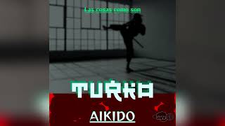 Aikido  Turkobein Lccs [upl. by Swarts]