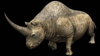 Elasmotherium Caucasicum Siberian Unicorn Rhino Sounds JW [upl. by Daraj561]