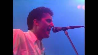 OMD  Messages Live at Sheffield City Hall  14061985 [upl. by Nikola]