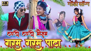 ठंडो ठंडो मौसम  गरम गरम पाटा  GONDI SONG  PAYAL WALE SANGO ADIWASI SONG 2024  gondi adivasi [upl. by Leahkim292]