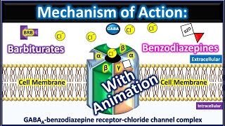 Barbiturates and Benzodiazepines Mechanism of action with animation [upl. by Ihsar]