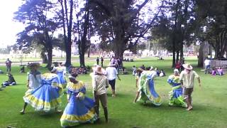 Jota Chocoana Grupo de Danzas del Litoral Pacífico UPN [upl. by Eirised349]