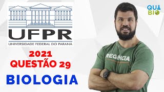 UFPR 2021 Questão 29  Ervilhas lisas e rugosas foram estudadas por Gregor Mendel e a característica [upl. by Ragucci955]