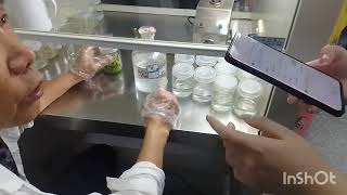 how to make tissue culture  micropropagation of mushroom juncao grass part1 250784244459 [upl. by Dugan]