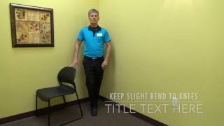 Balance Exercise Tandem Stance [upl. by Karim]