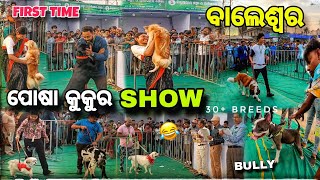 ପ୍ରଥମ ଥର Balasore ରେ Dog Show 🔥  30 Dog Breed 😲  Baleswar [upl. by Arocahs754]