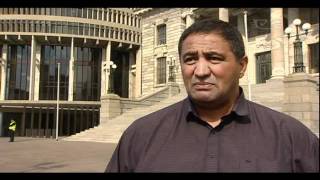 Maori politicians and Govt workers angry over axing MFATs Maori Policy Unit [upl. by Ailla259]