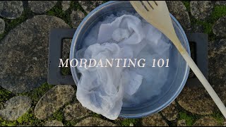 HOW to MORDANT a CELLULOSE FABRIC  Natural dyeing at home  Botanical colours [upl. by Ynittirb340]