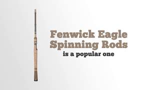 Fenwick Eagle Spinning Rods 1 0 [upl. by Yokoyama]