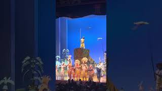 Broadway’s Lion King Curtain Call thelionking broadway eltonjohn theatre broadway puppeteers [upl. by Oech835]