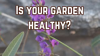 Three Signs that your Garden is Healthy [upl. by Bussy156]