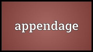 Appendage Meaning [upl. by Gala]