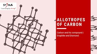 Allotropes of Carbon  Carbon and its Compound  Graphite and Diamond [upl. by Amory212]