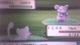 Pokemon DiamondPearl  FEAR rattata good version [upl. by Nnaitak]