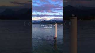 Lake Luzern switzerland luzern laketrendinganimalsbiology shorts shortvideo nature beauty [upl. by Eelano]