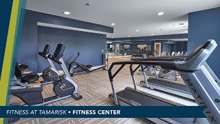 Fitness at Tamarisk [upl. by Nylkoorb]