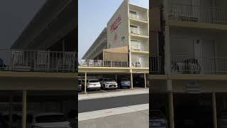 Bristol Plaza Motel Wildwood NJ Wildwood2024 WildwoodNewJersey JerseyShore ￼ [upl. by Lizbeth]